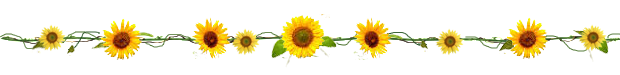 sunflower divider